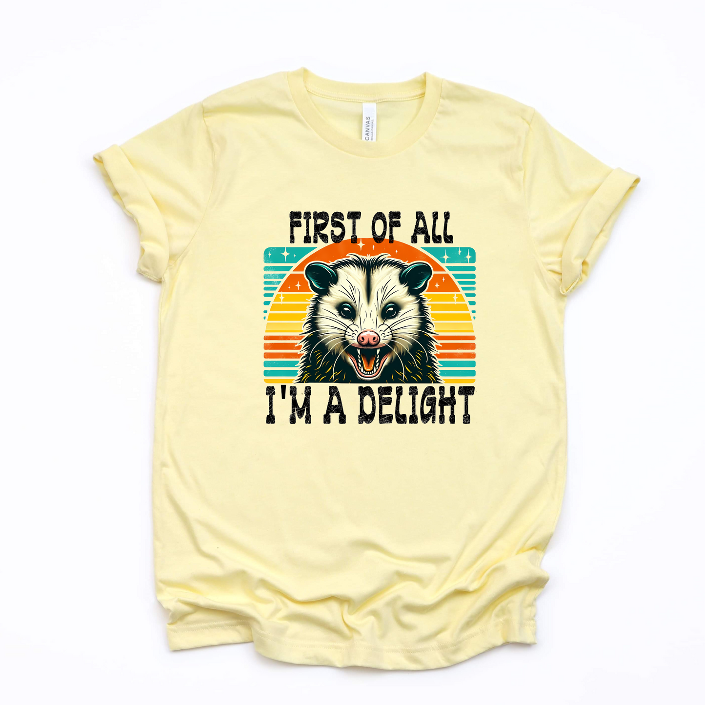 Wholesale I'm a delight Graphic Tee - Heather Dust Tee