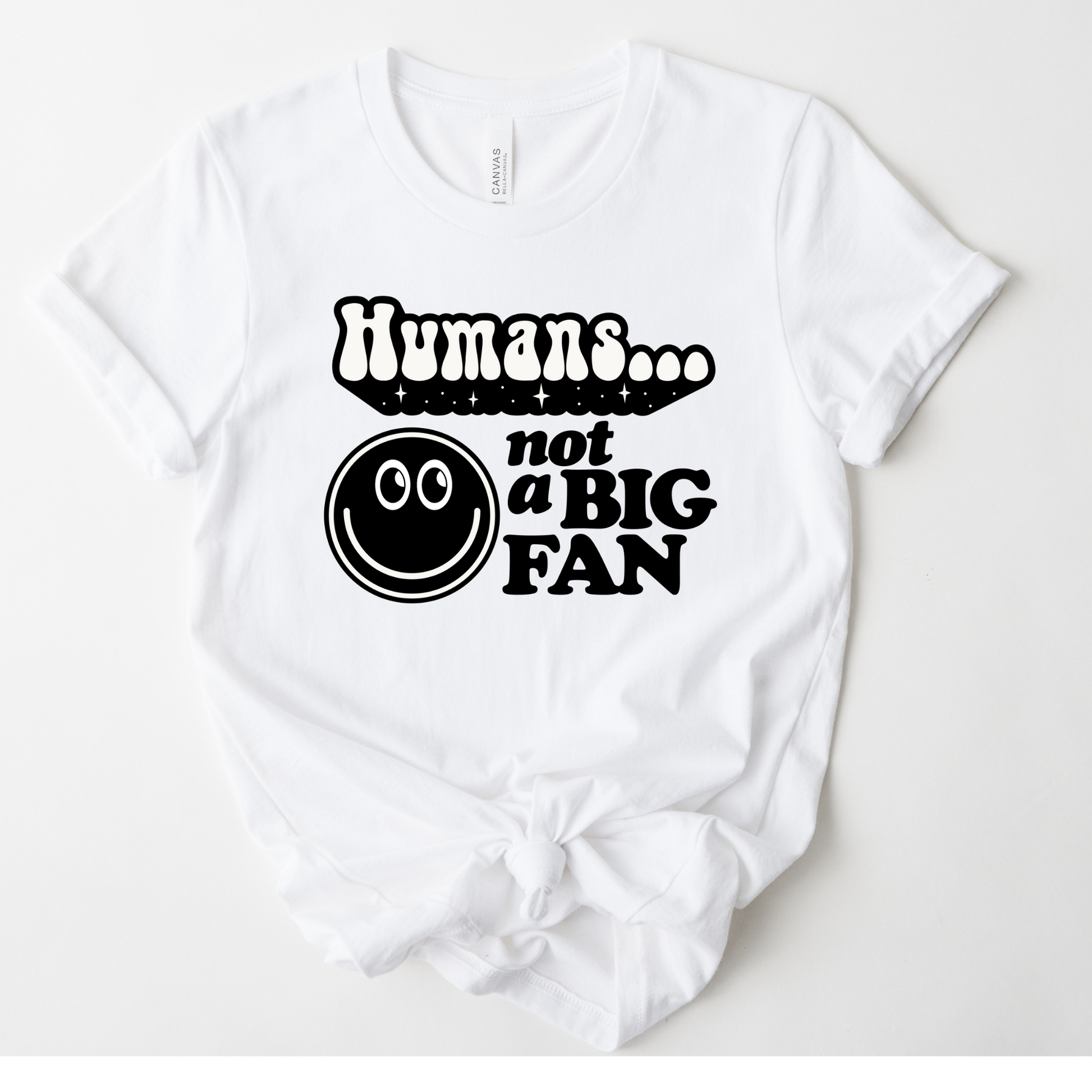 Wholesale Not a big fan Graphic Tee - Sand Tee
