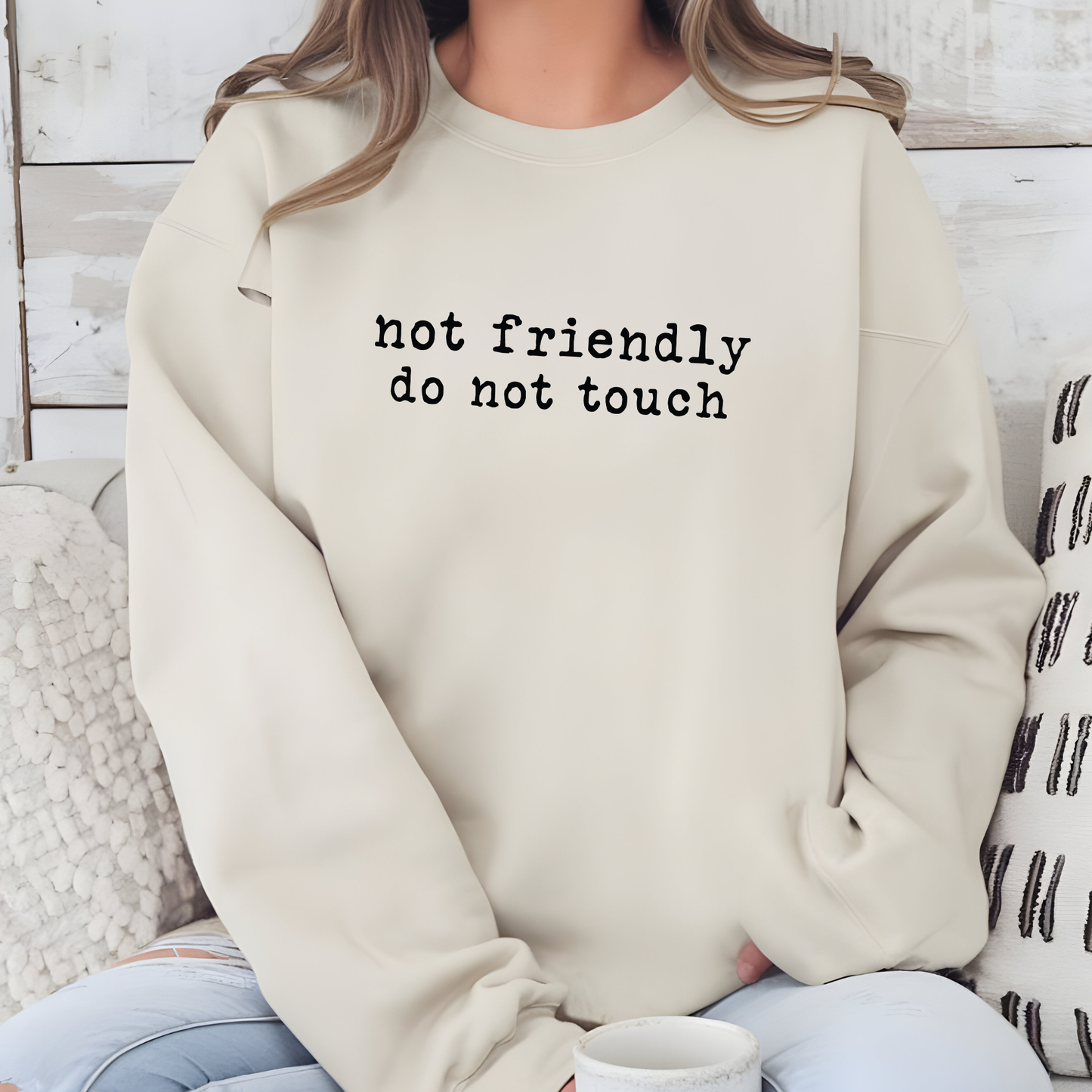 Wholesale Not Friendly Do Not Touch Sweatshirt - Sand Sweatshirt