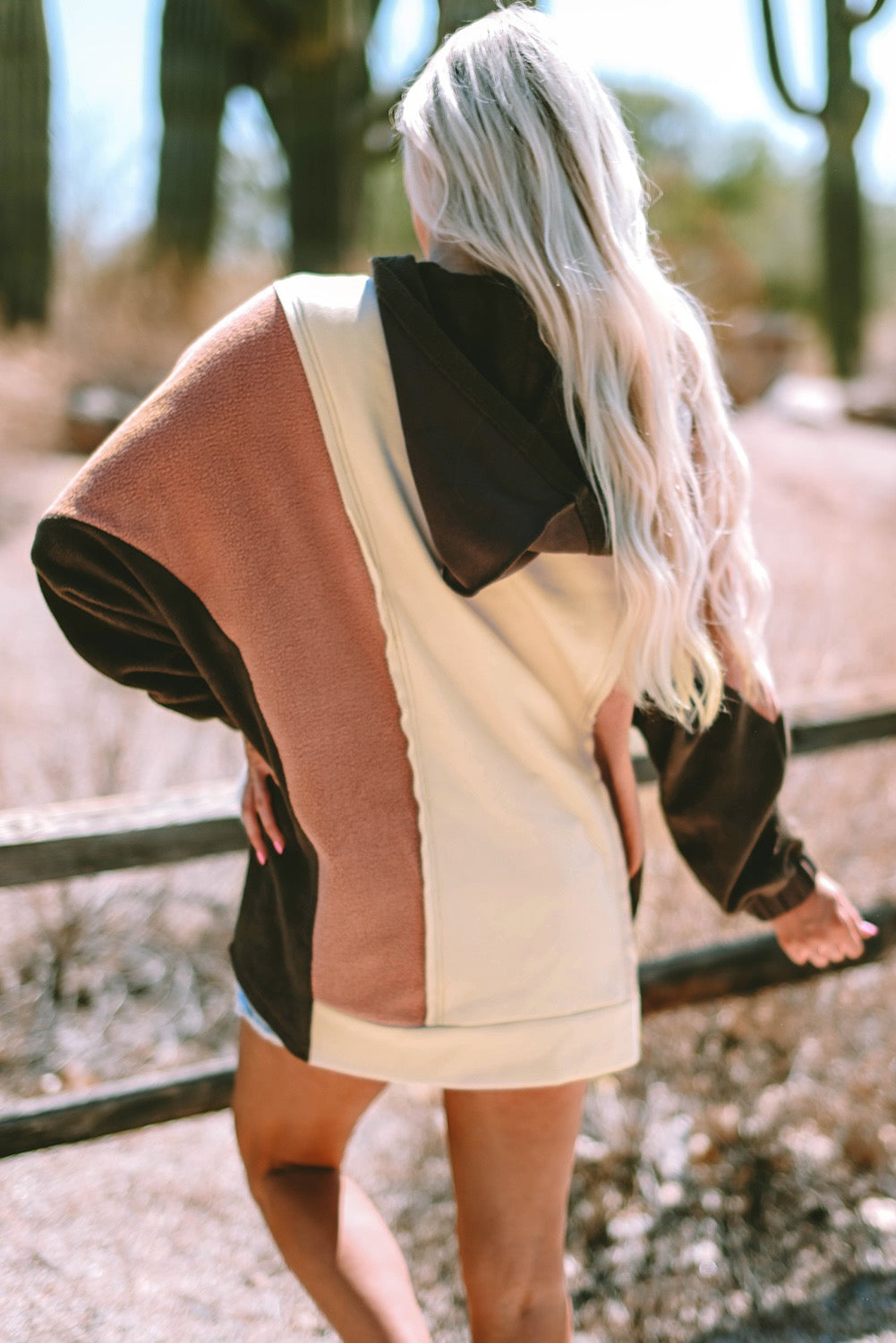 Brown Colorblock Pullover